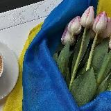 Музика + цитати🫂💋
