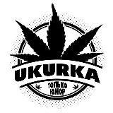 У КУРКА
