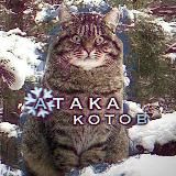 Атака Котов | Кот & Пёс 🩴