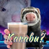 какава