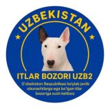 itlar bozori UZ🇺🇿🥇