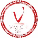 VIVI CHI SEI - Human Design System