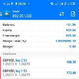 Bellforex COMMUNITY