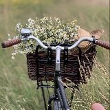 📚 Библиотека контента | идеи для Reels