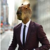Офис ZooMa
