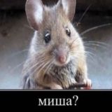 Мшк