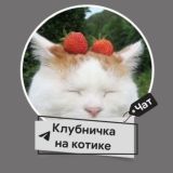 Чатик канала "Клубничка на котике"