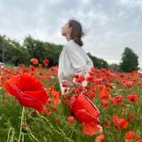 Благова на водах