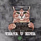 Трава у Кота 😻(отзывы)