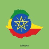 🇪🇹🇪🇹🇪🇹 GTM Melkam Wealth Creation Team