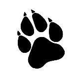 COPYPAWSTA🐾