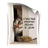 The best humor