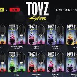 TOYZ CYBER