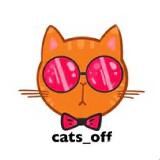 @catsoff01