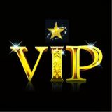 تهران لحظه‌ ای VIP
