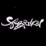 SRBRNKOV