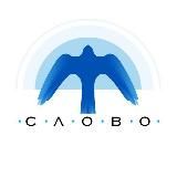 Центр «Слово» | Метод «Погружение в предмет»
