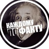 Каждому по факту💡