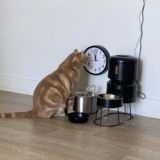 Котэке