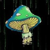 TON MUSHROOMs NFT.