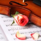 МУЗ FLAC