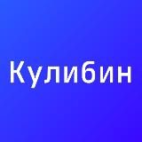 Кулибин | Образовательная среда
