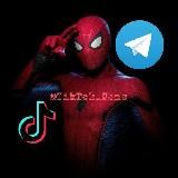 Фоны для видео TikTok