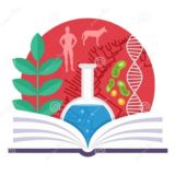 Биология онлайн📚💡