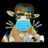Covidisme