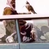 ᷂سيّن