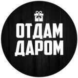 Отдам Даром