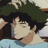 D/O/M
