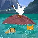 Honk