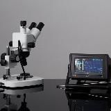 LAB STONES
