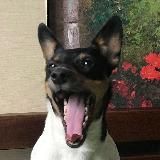 tina’s channel