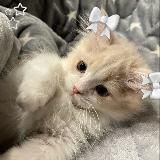Художественный домик🎀🧸