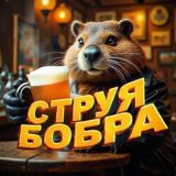 CТРУЯ БОБРА