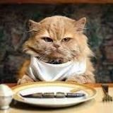 ИНСАЙДЕР КРЕМЛЯ