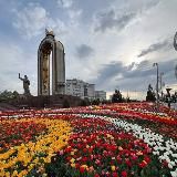 Afsaron| افسران