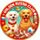Клуб❤️золотистых🦮ретриверов Россия