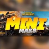 MINI MAKS GROUP