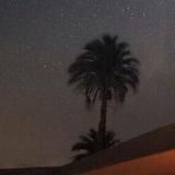 Абу Джабир СаидАхмад Муцалаулский