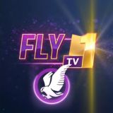 FLY TV📺