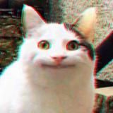 Memasius🐱