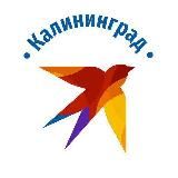 КП Калининград | Новости региона