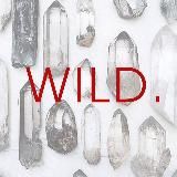WILD_Minerals