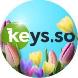 Keys.so – анализ конкурентов в SEO, PPC и AI