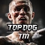 TOPDOG TV