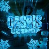 CASPIS UC SERVICE