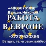 Работа в Европе